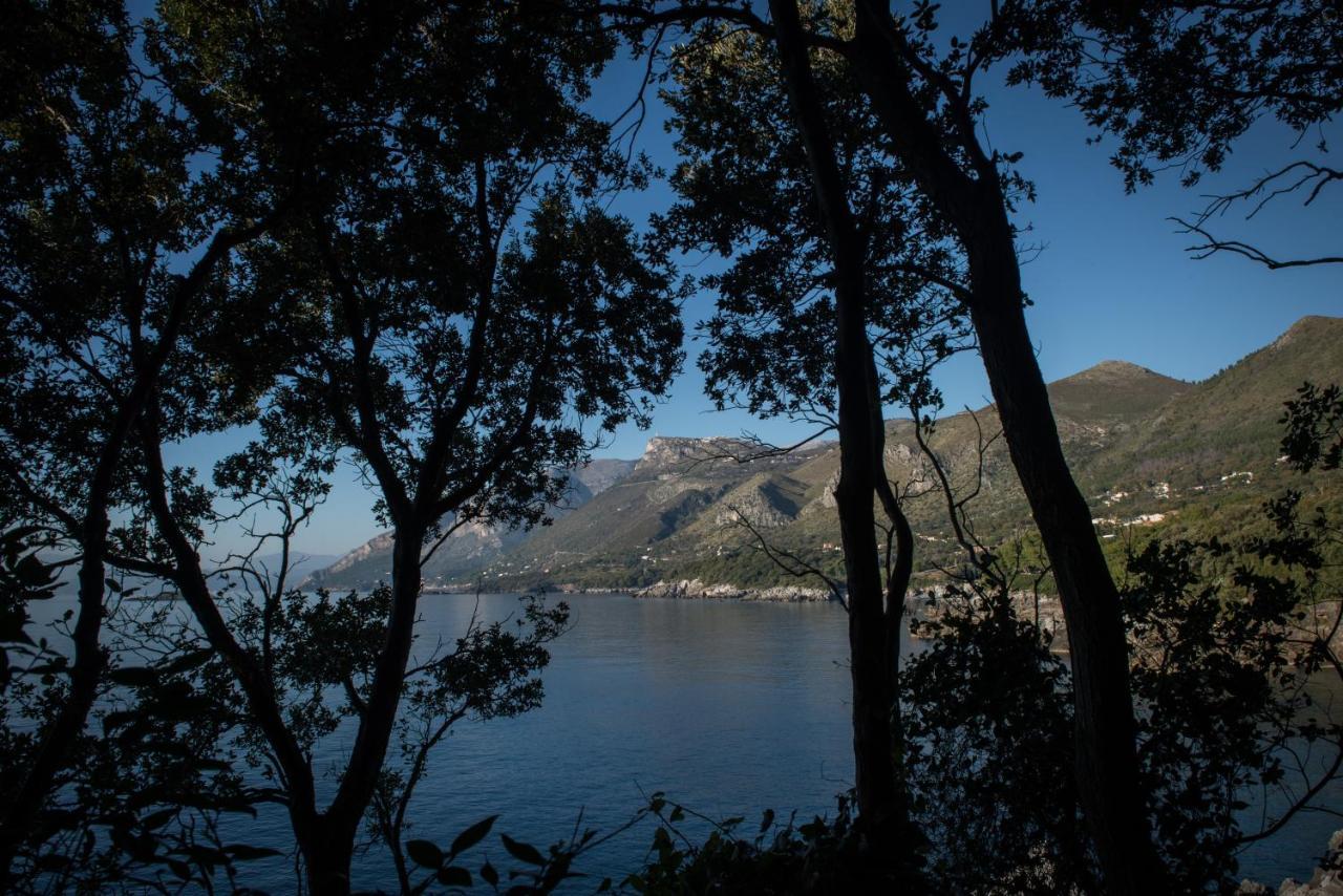 Hotel Amaranto Maratea Esterno foto